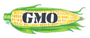 Illustration by Susan MacDonald